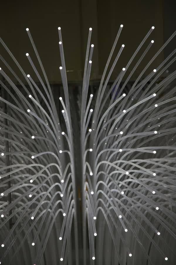 1657434902535 4deffc985b9a