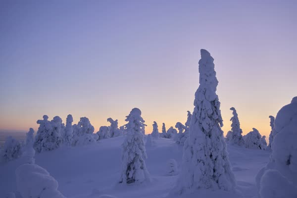 1771508803744 55e5d242bc39