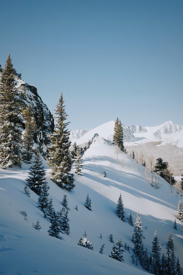 1771777400760 F4a4bb561c53