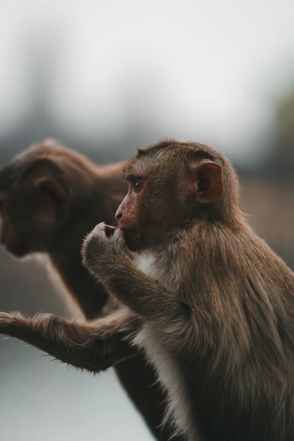 1771784137213 4d178f5741b5