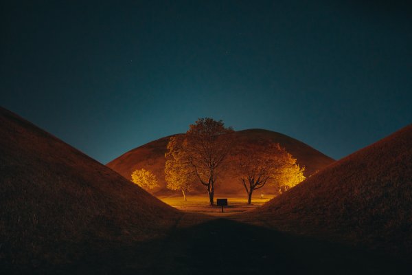 Leafless Tree On Brown Field During Night Time Ep