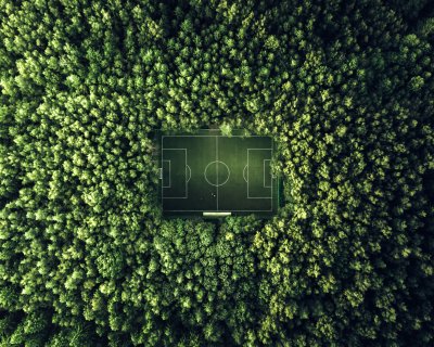 Soccer Field Aerial